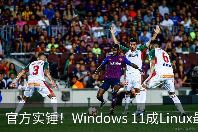 官方实锤！Windows 11成Linux最大宿主，WSL Ubuntu安装量将超原生